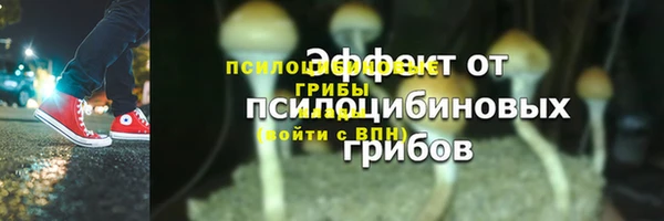 СК Заволжск